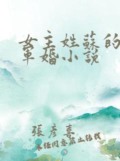 女主姓苏的重生军婚小说