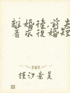 离婚后,前夫哭着求复婚短剧免费观看