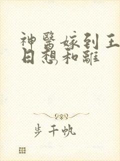 神医嫁到王妃日日想和离