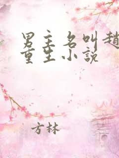 男主名叫赵峰的重生小说