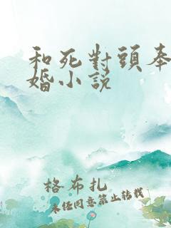 和死对头奉子成婚小说