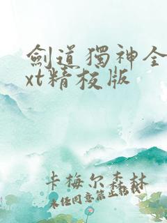 剑道独神全本txt精校版