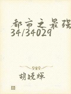 都市之最强狂兵34/34029