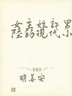 女主姓许男主姓陆的现代小说