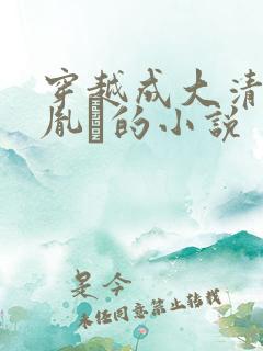 穿越成大清太子胤礽的小说