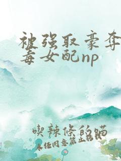 被强取豪夺的恶毒女配np