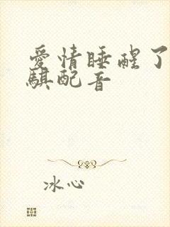 爱情睡醒了项天骐配音