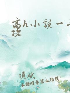 高h小说一受多攻