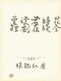 曾逢君时花照眼短剧在线全集免费