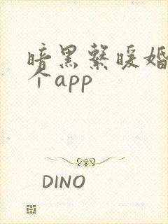 暗黑系暖婚在哪个app