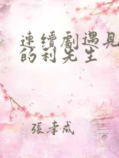 连续剧遇见爱情的利先生