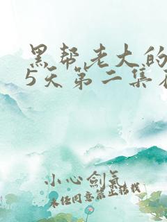 黑帮老大的365天第二集在线看免费