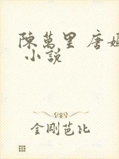 陈万里 唐嫣然 小说