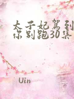 太子妃驾到总裁你别跑30集免费观看