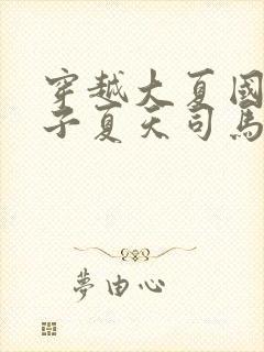 穿越大夏国九皇子夏天司马兰小说