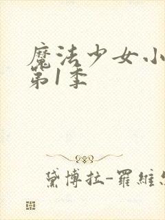 魔法少女小圆 第1季