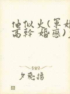 他似火(军婚 高干 婚恋)免费阅读