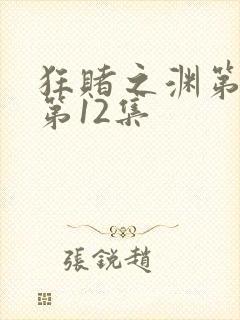 狂赌之渊第二季第12集
