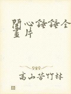 开心锤锤全集动画片