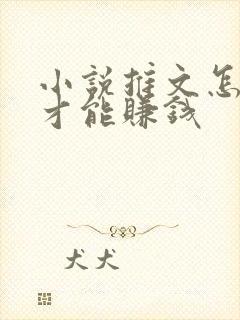 小说推文怎么做才能赚钱