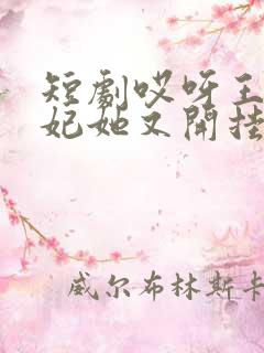 短剧哎呀王爷王妃她又开挂了免费观看