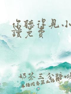 你听得见小说阅读免费