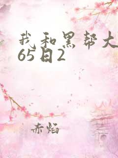 我和黑帮大佬365日2