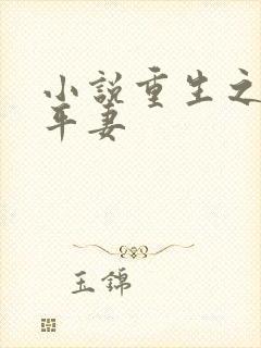 小说重生之贵女平妻