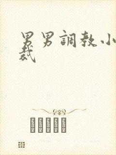 男男调教小说总裁