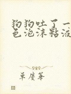 狗狗吐了一滩白色泡沫粘液吃什么药