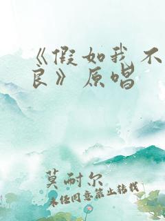 《假如我不再善良》原唱