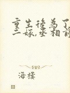 重生后为了赎罪二嫁,丞相前夫却疯了(1v2)