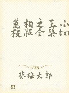 万相之王小说精校版全集txt