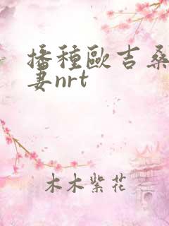 播种欧吉桑与人妻nrt
