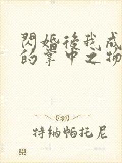 闪婚后我成大佬的掌中之物