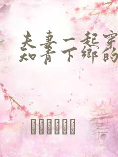 夫妻一起穿越成知青下乡的小说推荐