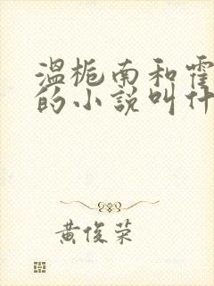 温栀南和霍承钧的小说叫什么名字