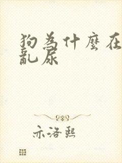 狗为什么在家里乱尿