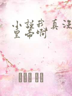 小说我真没想当皇帝啊