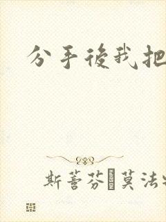 分手后我把渣攻