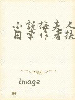 小说梅夫人宠夫日常作者扶华