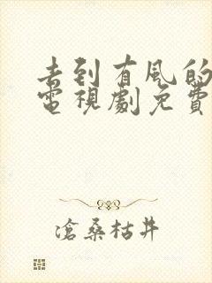 去到有风的地方电视剧免费观看