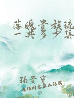 落魄贵族琉璃川一共多少集