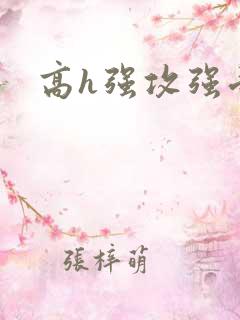 高h强攻强受