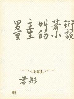 男主叫萧珩女主重生的小说