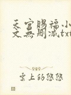 天官赐福小说全文无删减txt下载