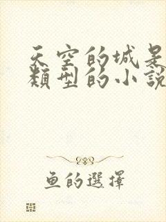 天空的城是什么类型的小说