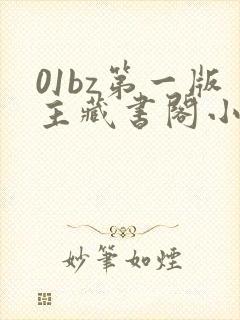01bz第一版主藏书阁小说网