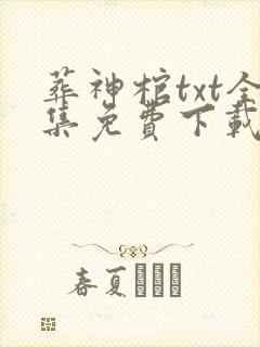 葬神棺txt全集免费下载