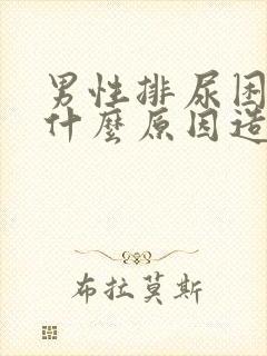 男性排尿困难是什么原因造成的?